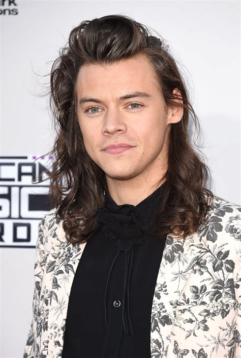 harry styles 2015